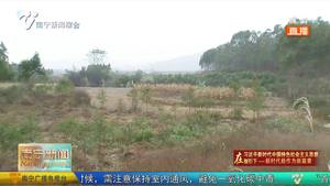 【在习近平新时代中国特色社会主义思想指引下——新时代 新作为 新篇章】宾阳县狠抓秸秆禁烧见成效  秸秆变废为宝赚大钱