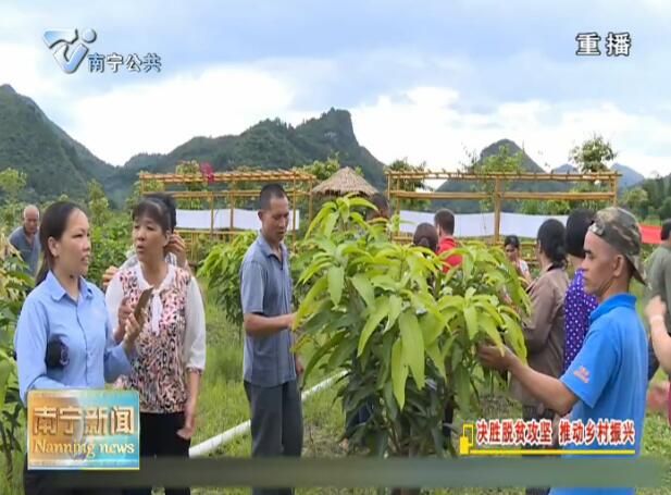 新华社《半月谈》：粤桂携手 南宁斩穷根