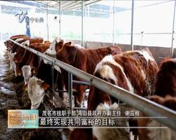 【决胜脱贫攻坚 推动乡村振兴】粤桂扶贫协作喜结硕果