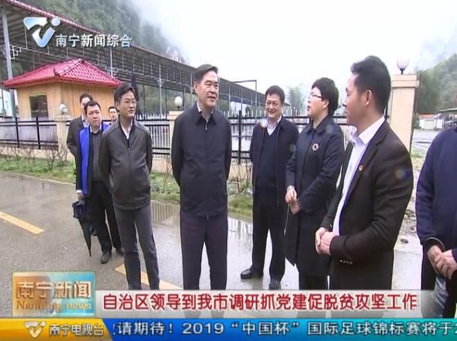 自治区领导到南宁市调研抓党建促脱贫攻坚工作