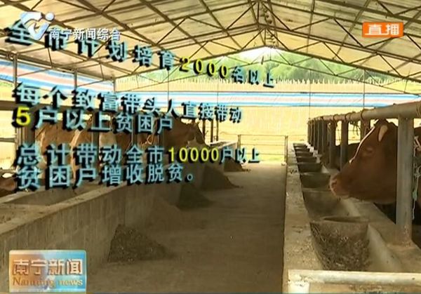 【决胜脱贫攻坚 推动乡村振兴】到2020年  我市计划培育贫困村创业致富带头人超2000名