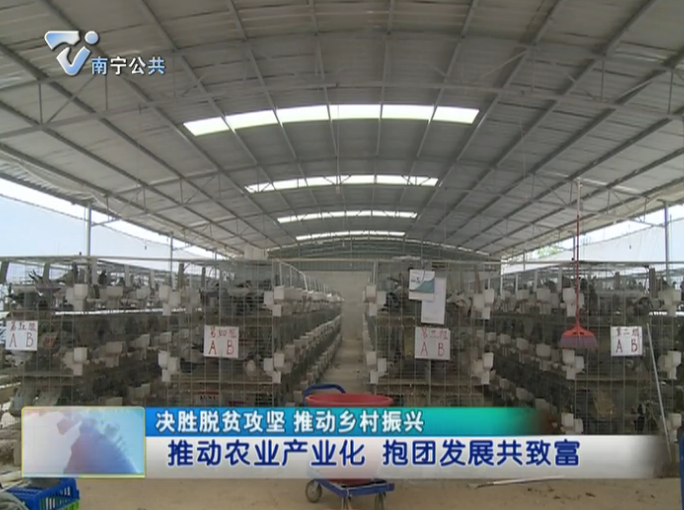 【决胜脱贫攻坚 推动乡村振兴】推动农业产业化 抱团发展共致富