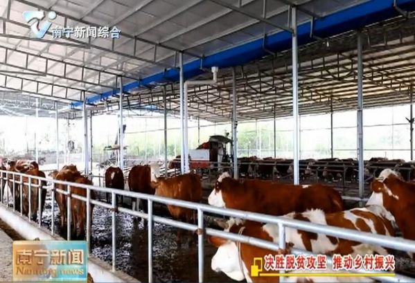 【决胜脱贫攻坚 推动乡村振兴】粤桂扶贫协作 助力携手奔小康