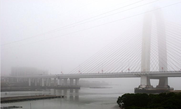 防城港：雾中针鱼岭大桥如诗如画