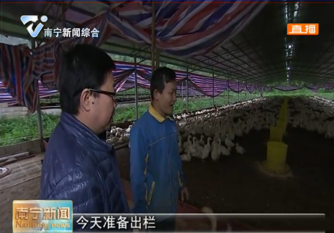 【决胜脱贫攻坚 推动乡村振兴】发展产业扶贫  激发脱贫内生动力