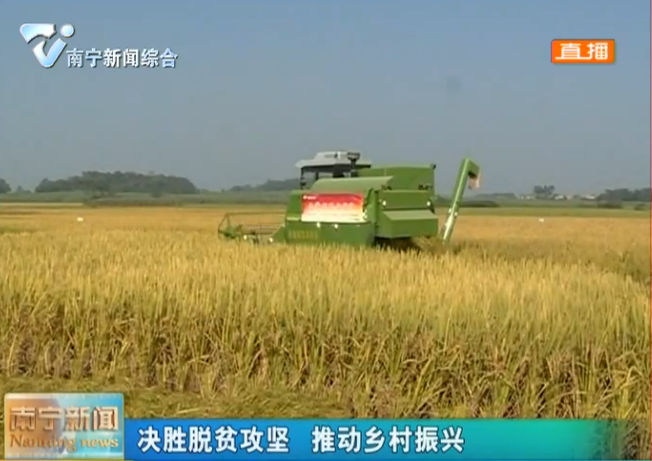 【决胜脱贫攻坚 推动乡村振兴】武鸣：保障扶贫资金投入 打好脱贫攻坚战