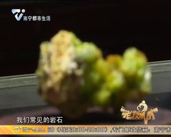 老友我最叻 我是矿晶迷