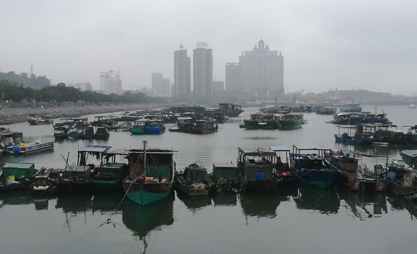 防城港市两千多艘应休渔船全部返港