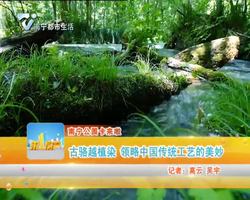 南宁公园卡来啦 古骆越植染 领略中国传统工艺的美妙