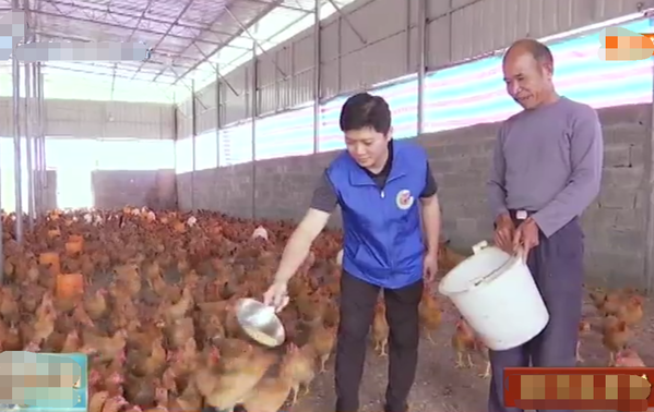 【在习近平新时代中国特色社会主义思想指引下——新时代 新作为 新篇章·脱贫攻坚榜样】劈山开路拔穷根  石山飞出金凤凰