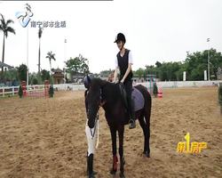 南宁公园卡来啦  胤龙马术——体验骑士精神 传承文明礼仪