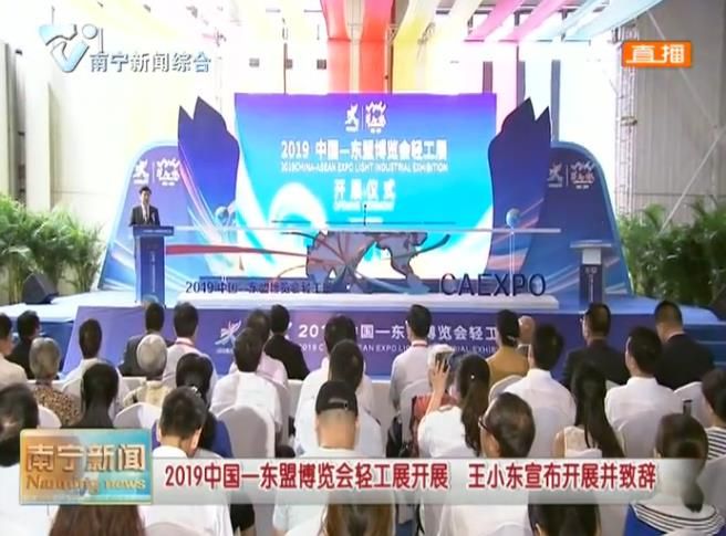 2019中国—东盟博览会轻工展开展  王小东宣布开展并致辞