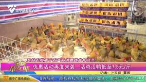 东站农批南宁农产品消费扶贫年货节：优惠活动再度来袭 活鸡活鸭低至7.5元/斤