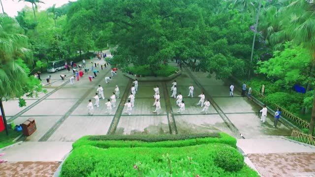 二等奖：《守护绿城 你我同行》