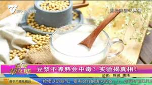 豆浆不煮熟会中毒？实验揭真相！