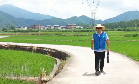 脱贫攻坚纪实栏目《奋斗》：听稻蛙说丰年