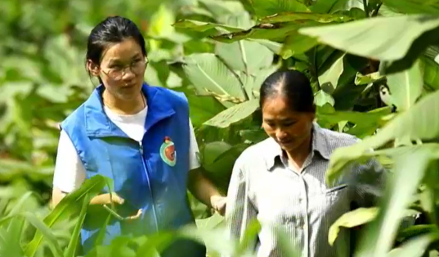 脱贫攻坚纪实栏目《奋斗》：德蓉“花”开琴让村