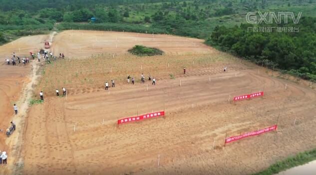 行过四季 见证小康 钦州决战决胜脱贫攻坚