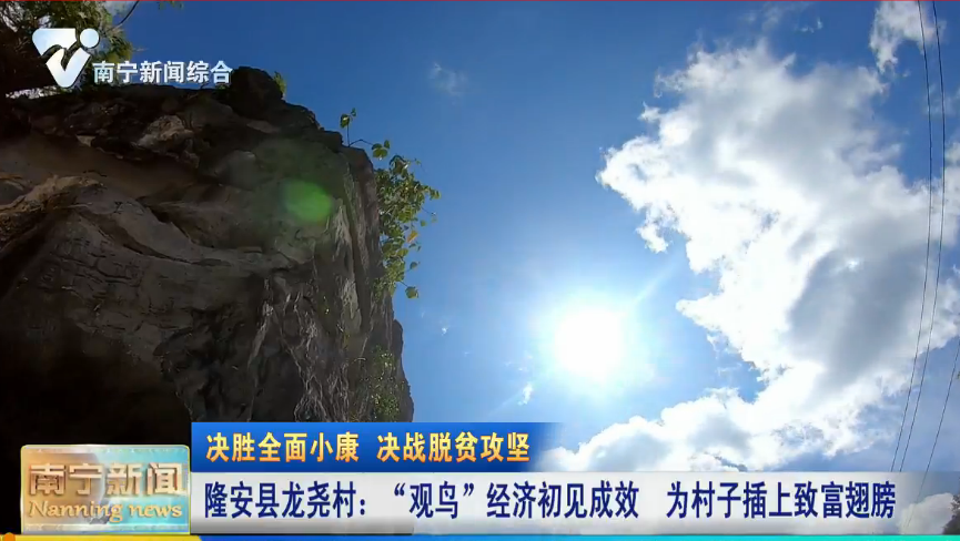 【决胜全面小康 决战脱贫攻坚】隆安县龙尧村：“观鸟”经济初见成效  为村子插上致富翅膀