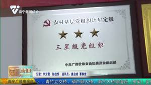 【决胜全面小康 决战脱贫攻坚——定点帮扶工作巡礼】帮扶尽心尽力 情暖“壮族老家”   ——中直、区直单位定点帮扶上林县综述