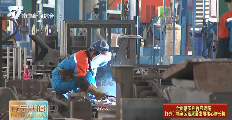 【全面落实强首府战略  打造引领全区高质量发展核心增长极】枝繁巢暖引凤栖   投资热土商机足