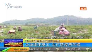 企业逐步复工  生产防疫两手抓