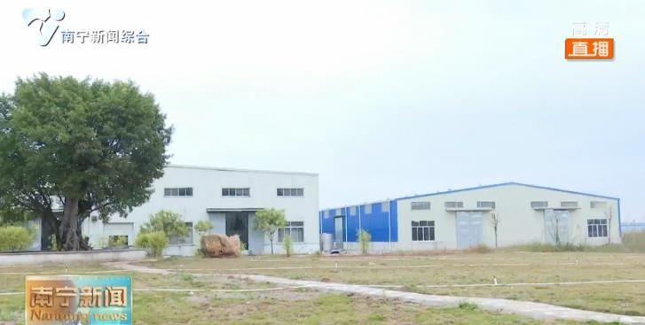 防疫生产两手抓  安全有序开展春耕生产和节后复工