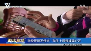 金华：学校停课不停学  学生上网课被骗17万