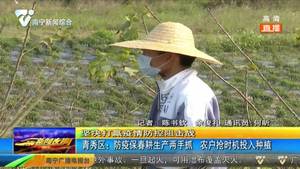 青秀区：防疫保春耕生产两手抓 农户抢时机投入种植