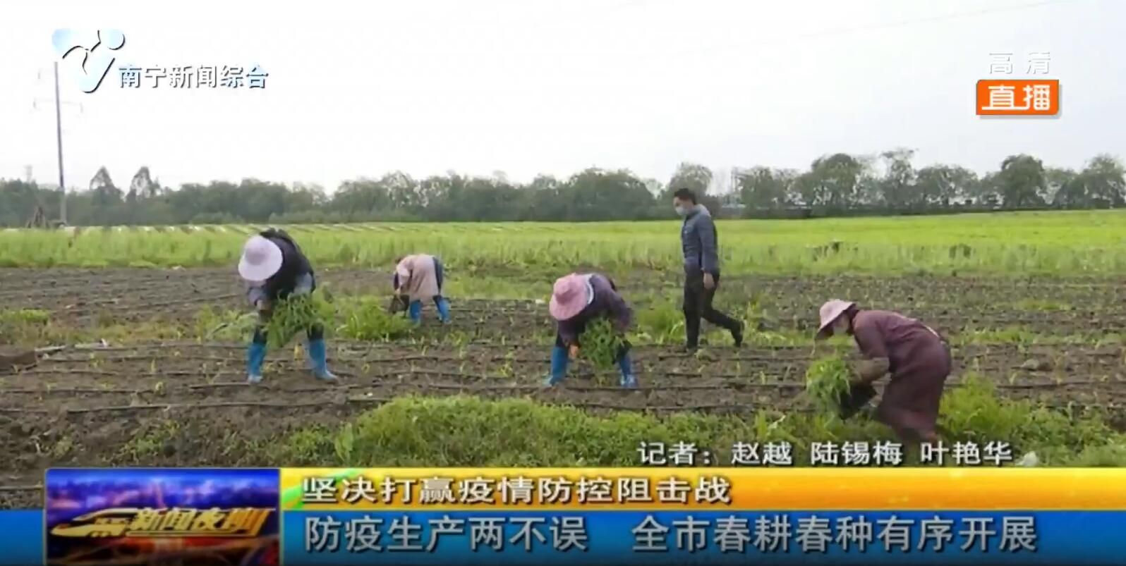 防疫生产两不误 全市春耕春种有序开展