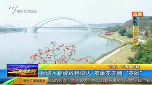 邕城木棉绽放艳似火  英雄花开赠“英雄”
