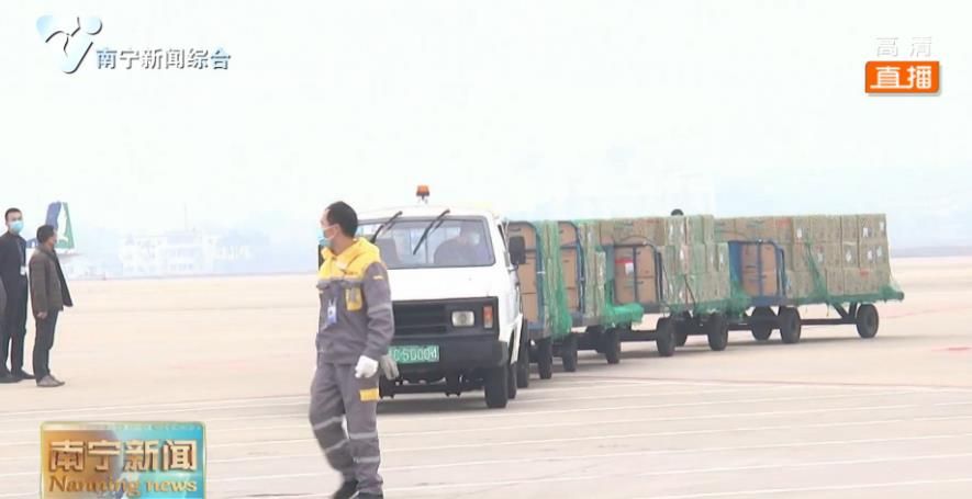 广西首批空港货运渠道疫情防控物资顺利通关