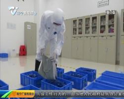 南宁地铁130万张单程票轮流“泡澡”消毒