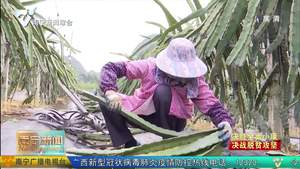 复工复产稳收入 决战脱贫信心足