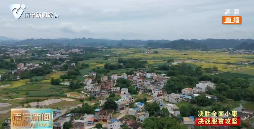 【决胜全面小康  决战脱贫攻坚】2019年南宁市109个村实现脱贫摘帽