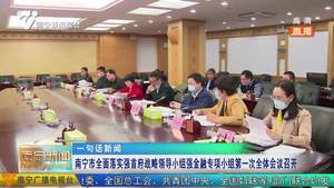 南宁市全面落实强首府战略领导小组强金融专项小组第一次全体会议召开