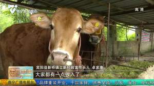 宾阳：因户施策谋发展  产业兴村促脱贫