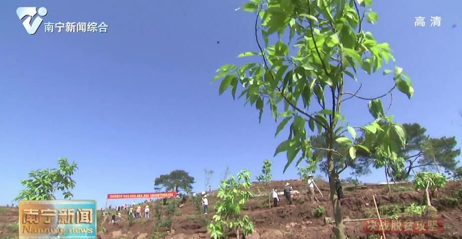 【决胜全面小康  决战脱贫攻坚】兴修水利惠民生  植树添绿助脱贫