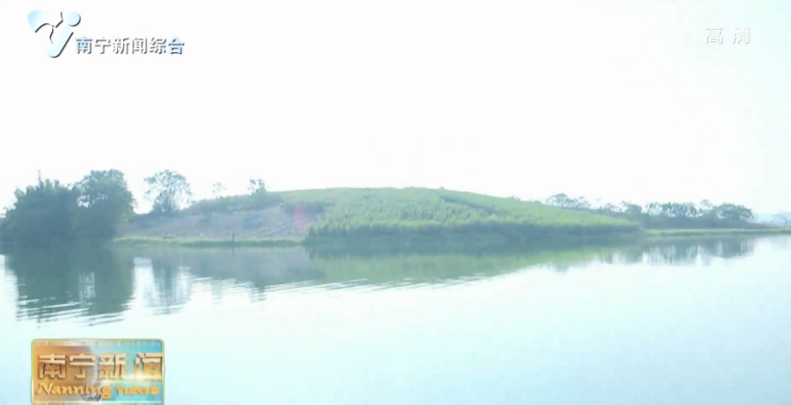 【在习近平新时代中国特色社会主义思想指引下—新时代 新作为 新篇章】合力攻坚“清四乱”  河流旧貌换新颜