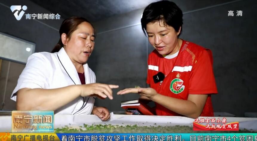 【行走在希望的田野上·龙开村蹲点日记（下）】毛鑫：穷山辟出“致富路” 安家乡村写芳华