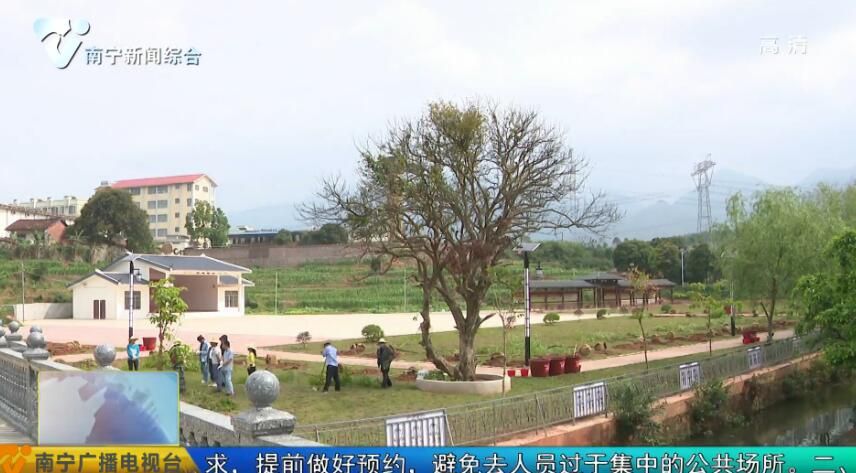 市纪委监委开展“兴水利、种好树、助脱贫、惠民生”主题活动