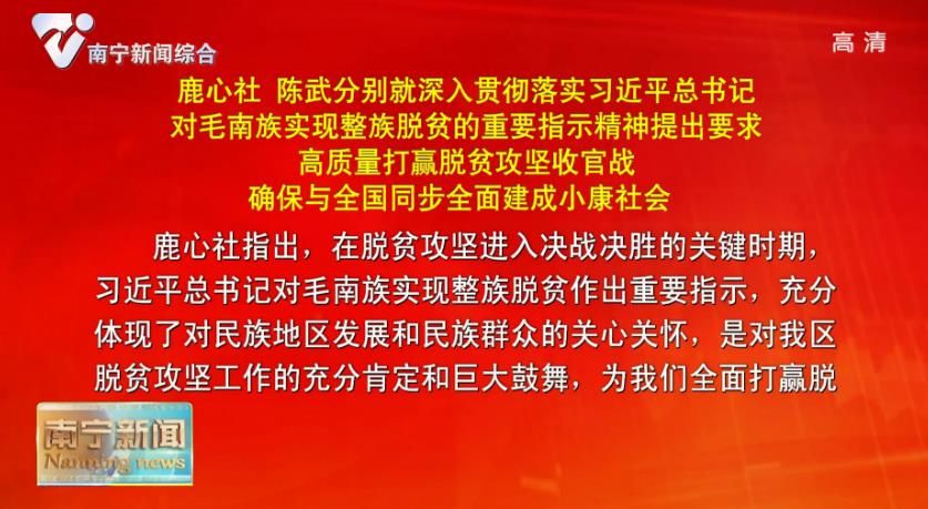 鹿心社 陈武分别就深入贯彻落实习近平总书记对毛南族实现整族脱贫的重要指示精神提出要求  高质量打赢脱贫攻坚收官战  确保与全国同步全面建成小康社会