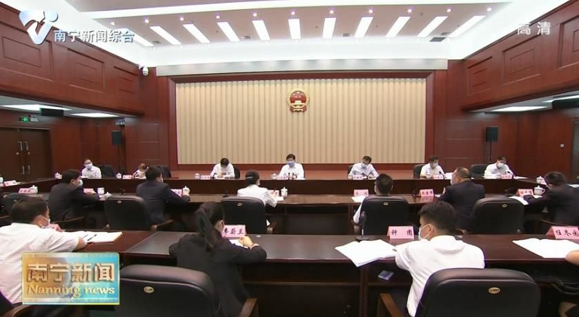 王小东参加隆安县代表团审议时强调  巩固脱贫攻坚成果 不断壮大县域经济  为全面落实强首府战略作出隆安贡献