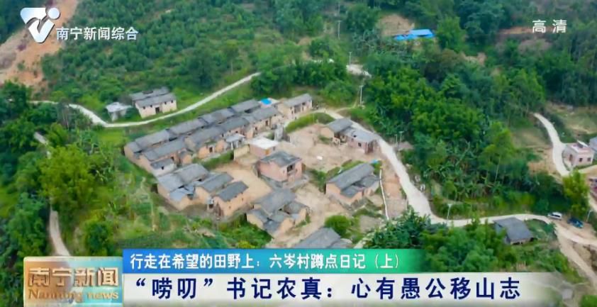 【行走在希望的田野上 · 六岑村蹲点日记】“唠叨”书记农真（上集）：心有愚公移山志