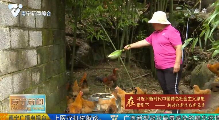 千名记者一线行丨马山新联村：先锋引领 整村脱贫