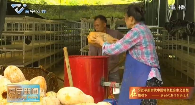 千名记者一线行丨隆安群力村：返乡大学生创业    探索产业发展新路子