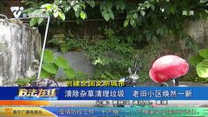 【创建全国文明城市】清除杂草清理垃圾  老旧小区焕然一新