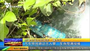 【创建全国文明城市·曝光台】汽车停放路边无人管 车身爬满绿植