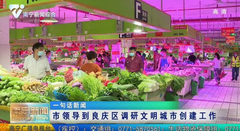 市领导到良庆区调研文明城市创建工作