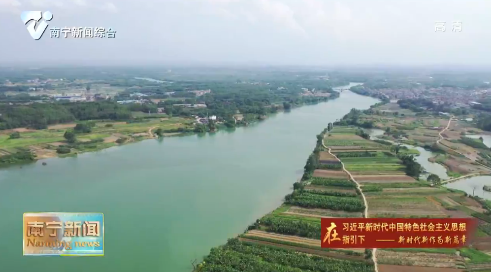 千名记者一线行丨西乡塘区南岸村：发展特色产业 促进农民增收